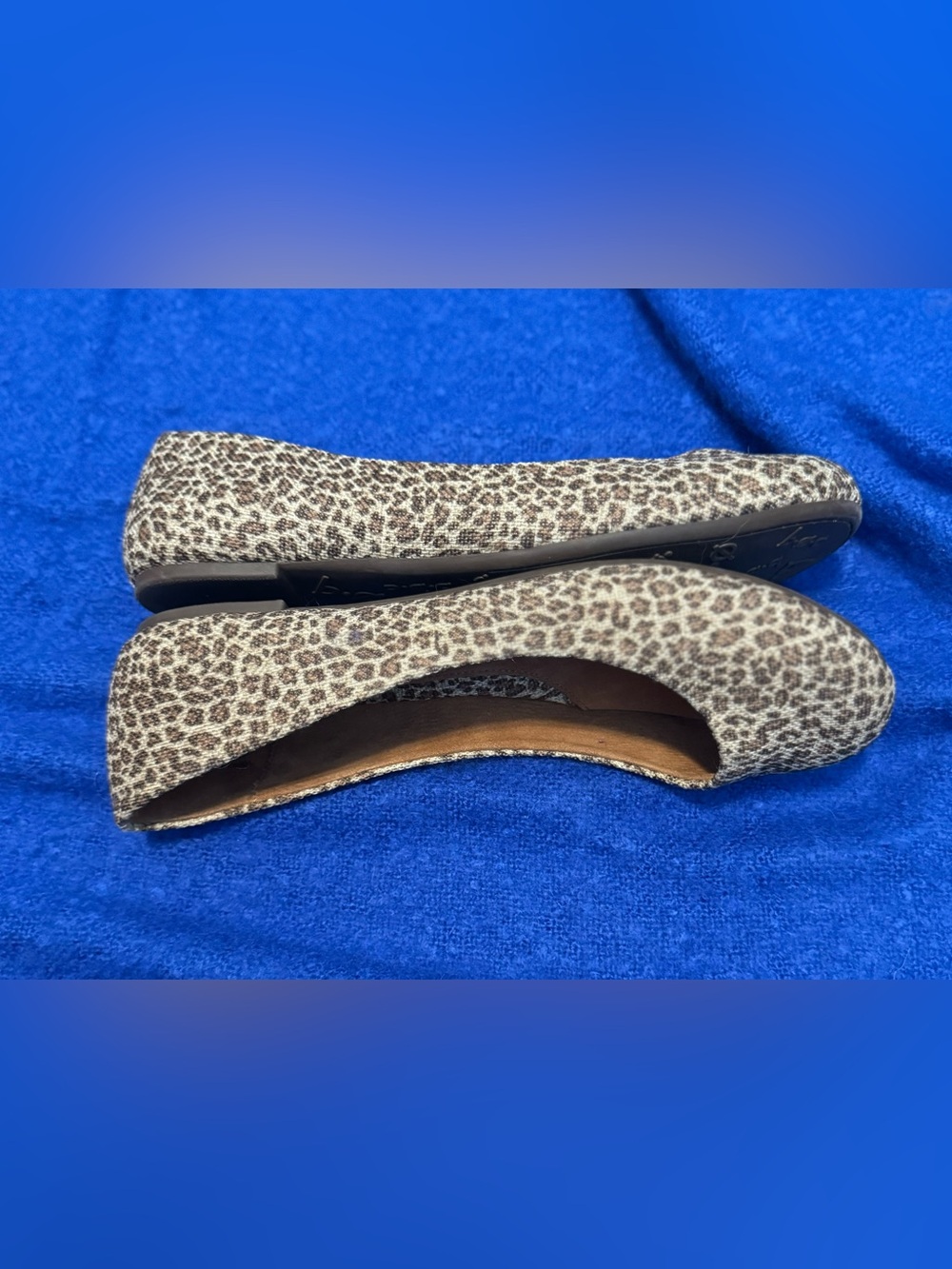 boc Leopard Print Ballet Flats in Brown and Cream - Picture 7 of 10